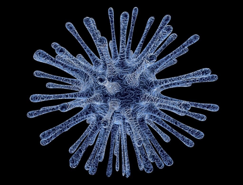 Bacteria Infection